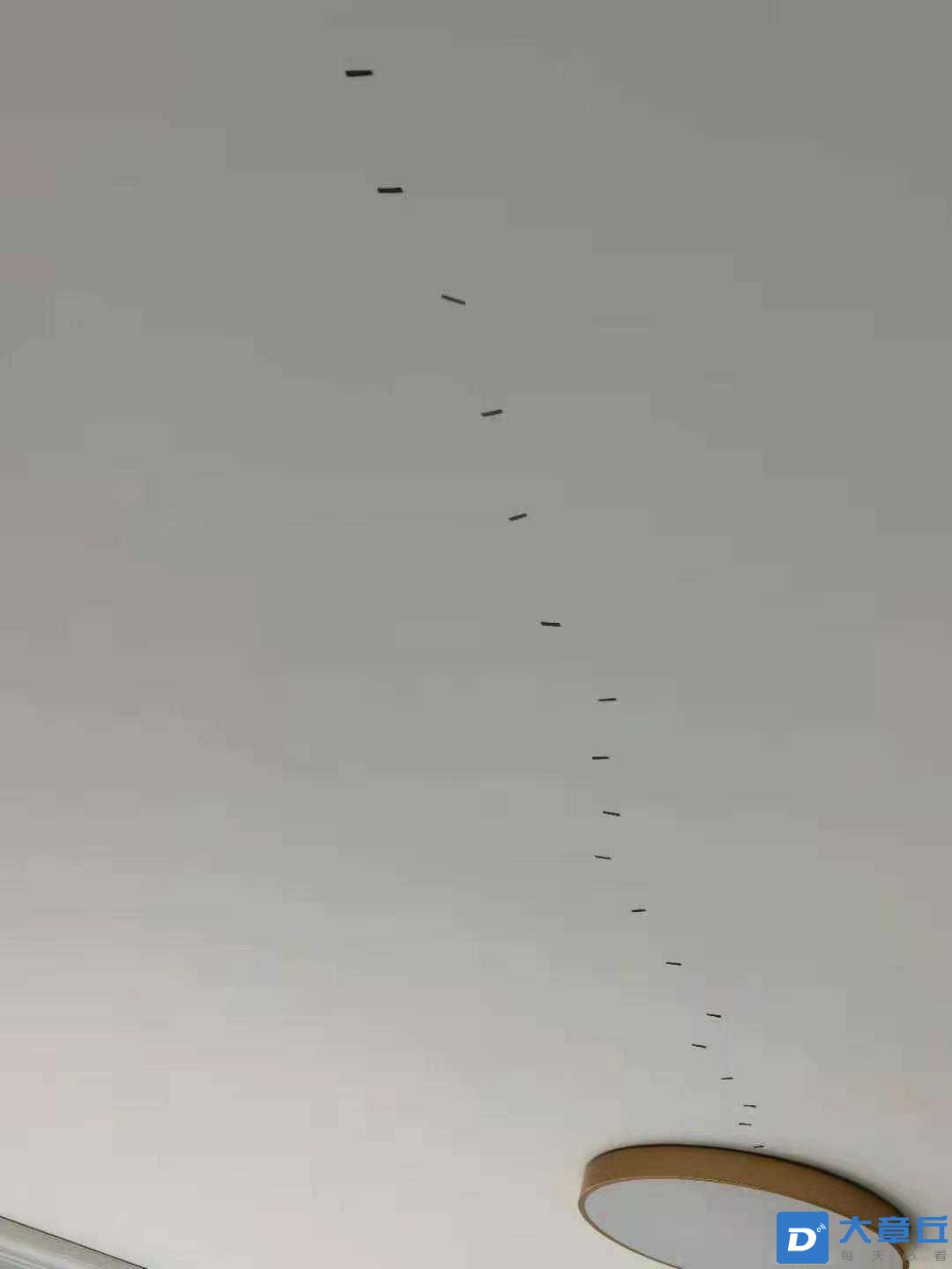 20230414133959front2_0_232715_Fle9CoK46d4ACgAPbzlAAp8aVBFb.jpg