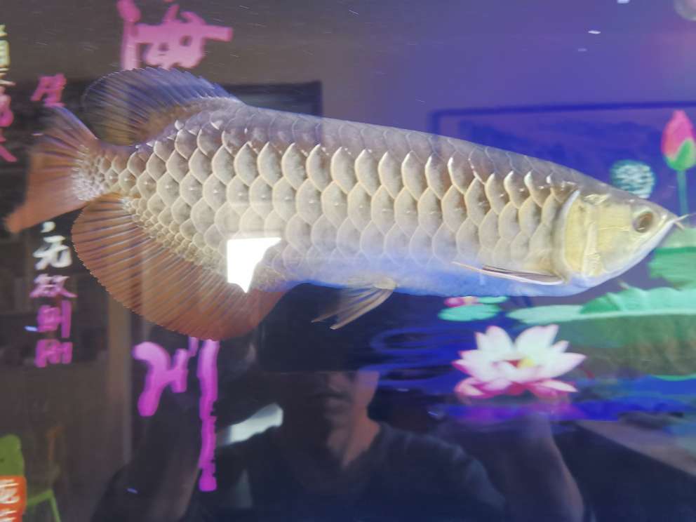 20230415110259front2_0_210458_Fj9VtmJp0rLOGAURWgUoHbe0NMA7.jpg