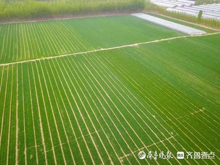 微信图片_20230416095031.jpg