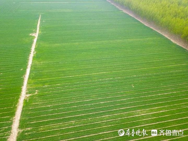微信图片_20230416095034.jpg