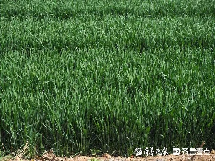 微信图片_20230416095036.jpg