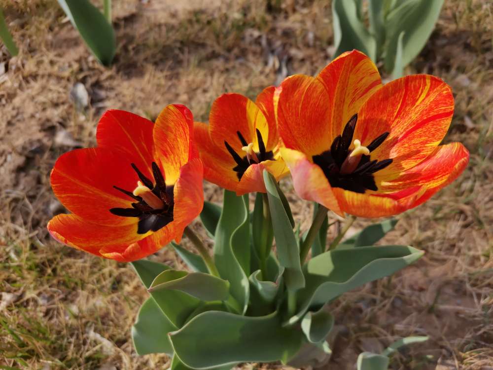 20230419092324front2_0_187212_FkFogzguTTRWM19X8eRFMRaiKlrK.jpg