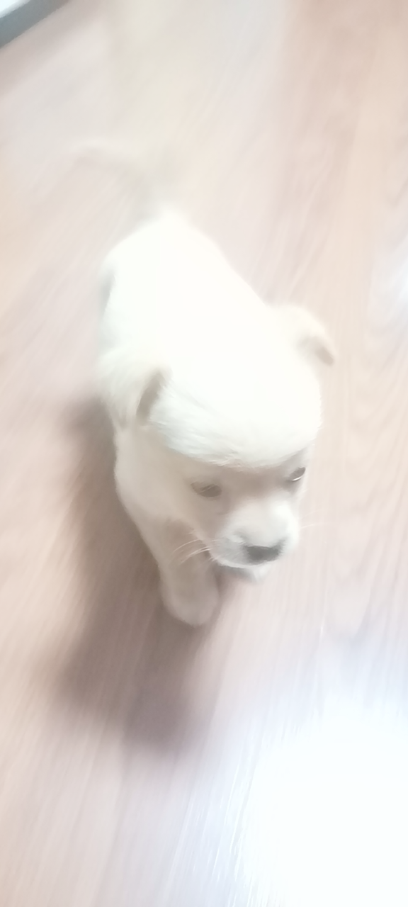20230423210140front2_0_193114_FiEVXSTUoOuJgjw-Dr_Zp2HpI92j.png