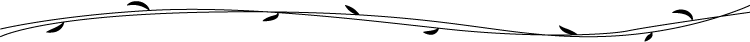 114314linafba45vnqn9fa.png