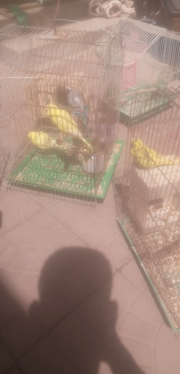 20230426102504front2_0_33459_FgHa14WyFyJXxJJfJwG_OiLXUfV8.png