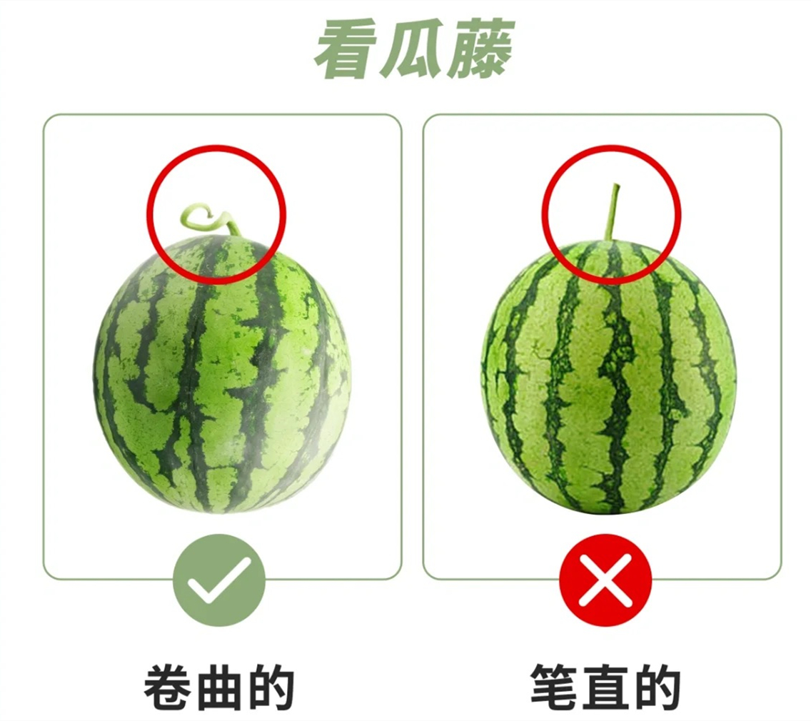 微信图片_20230505152919.jpg