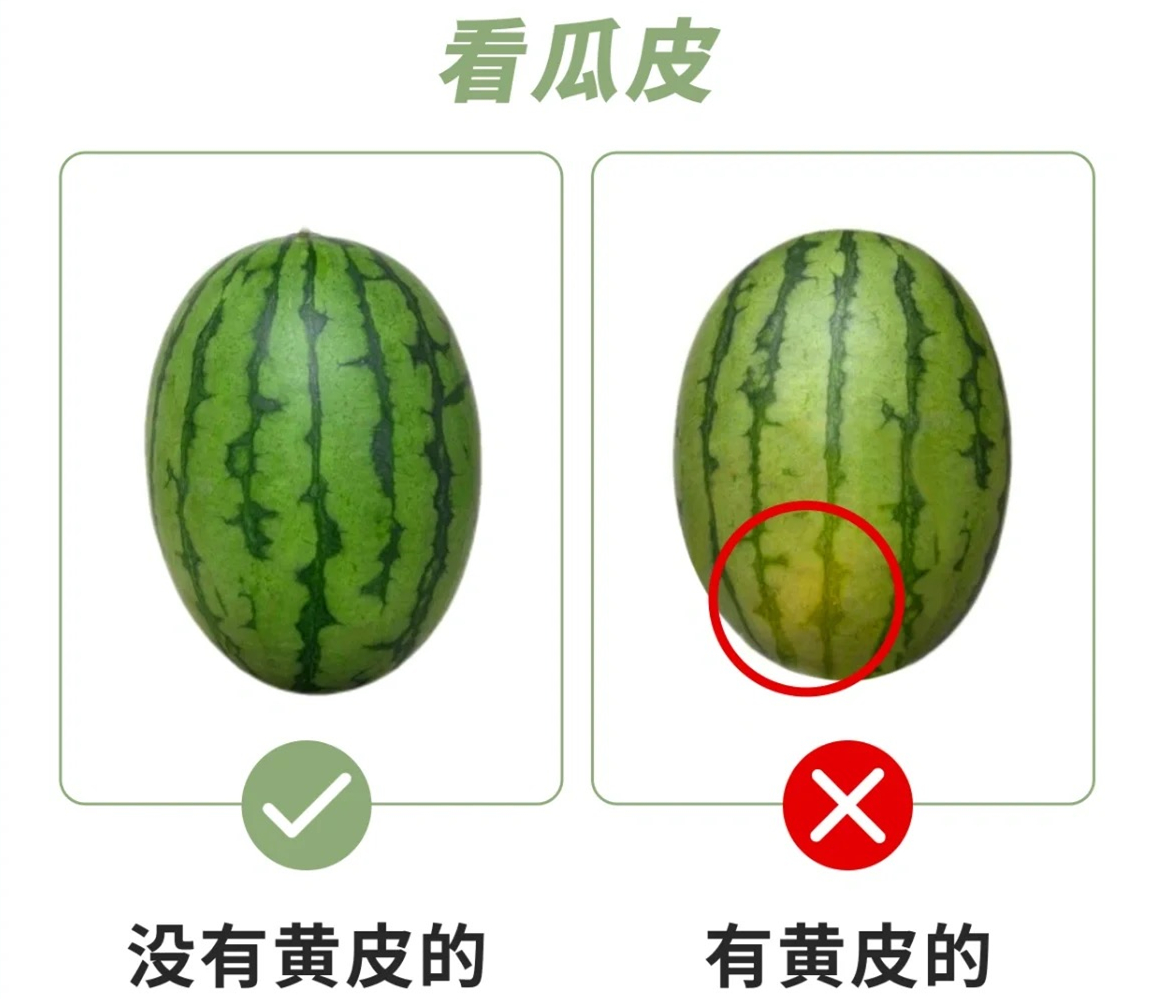 微信图片_20230505152925.jpg