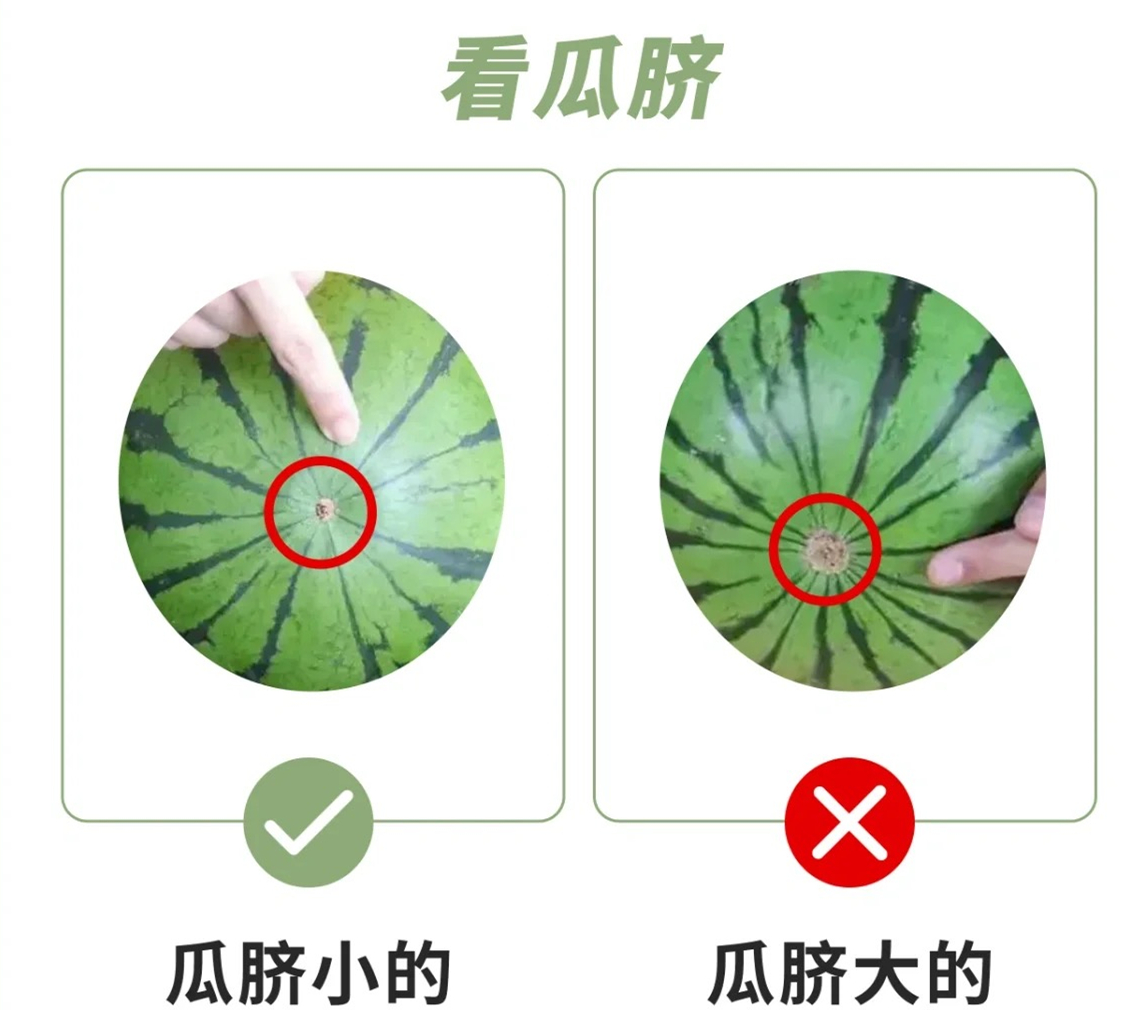 微信图片_20230505152932.jpg