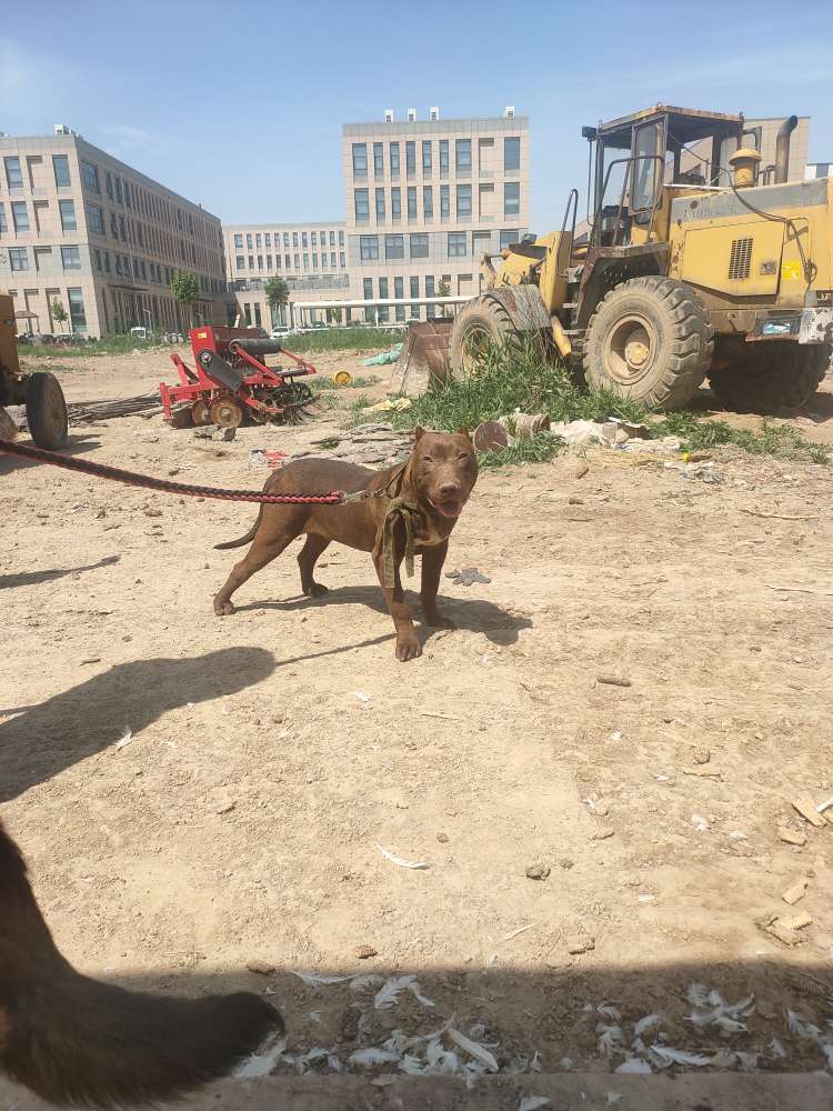 20230508203939front2_0_235776_FjnO5ipXN_HW0sZbikvHlDrdruOH.jpg