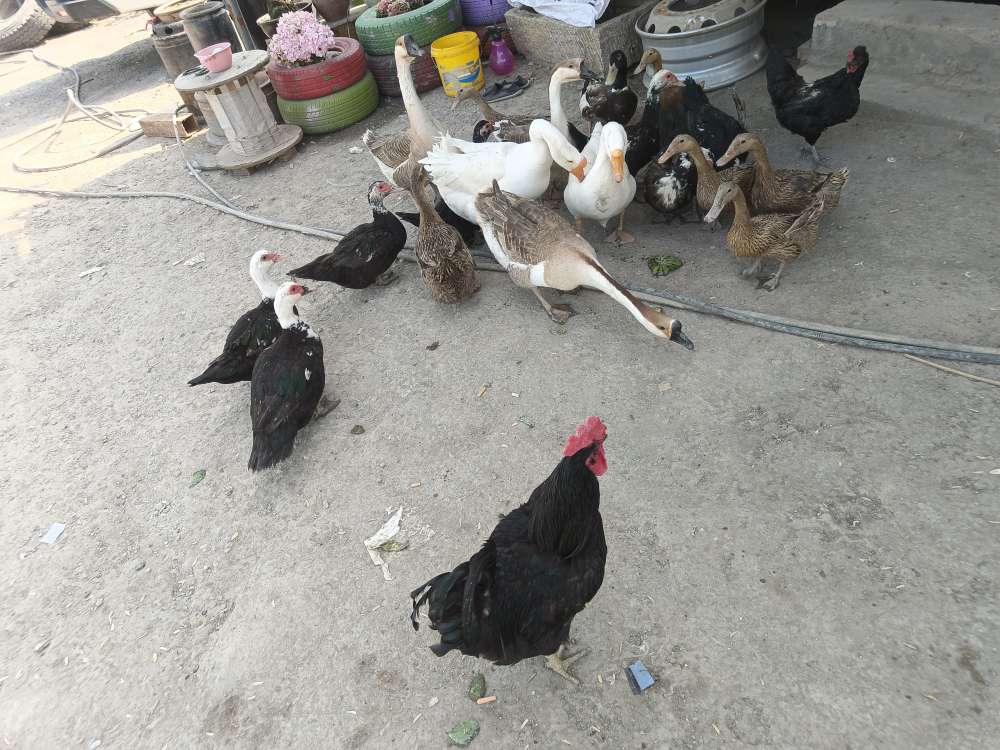 20230511194140front2_0_20966_FqoKaLYjIH6hJguyIvkTt2MwOBer.jpg