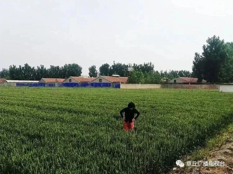 094605bpli5y0yalesli56.jpeg