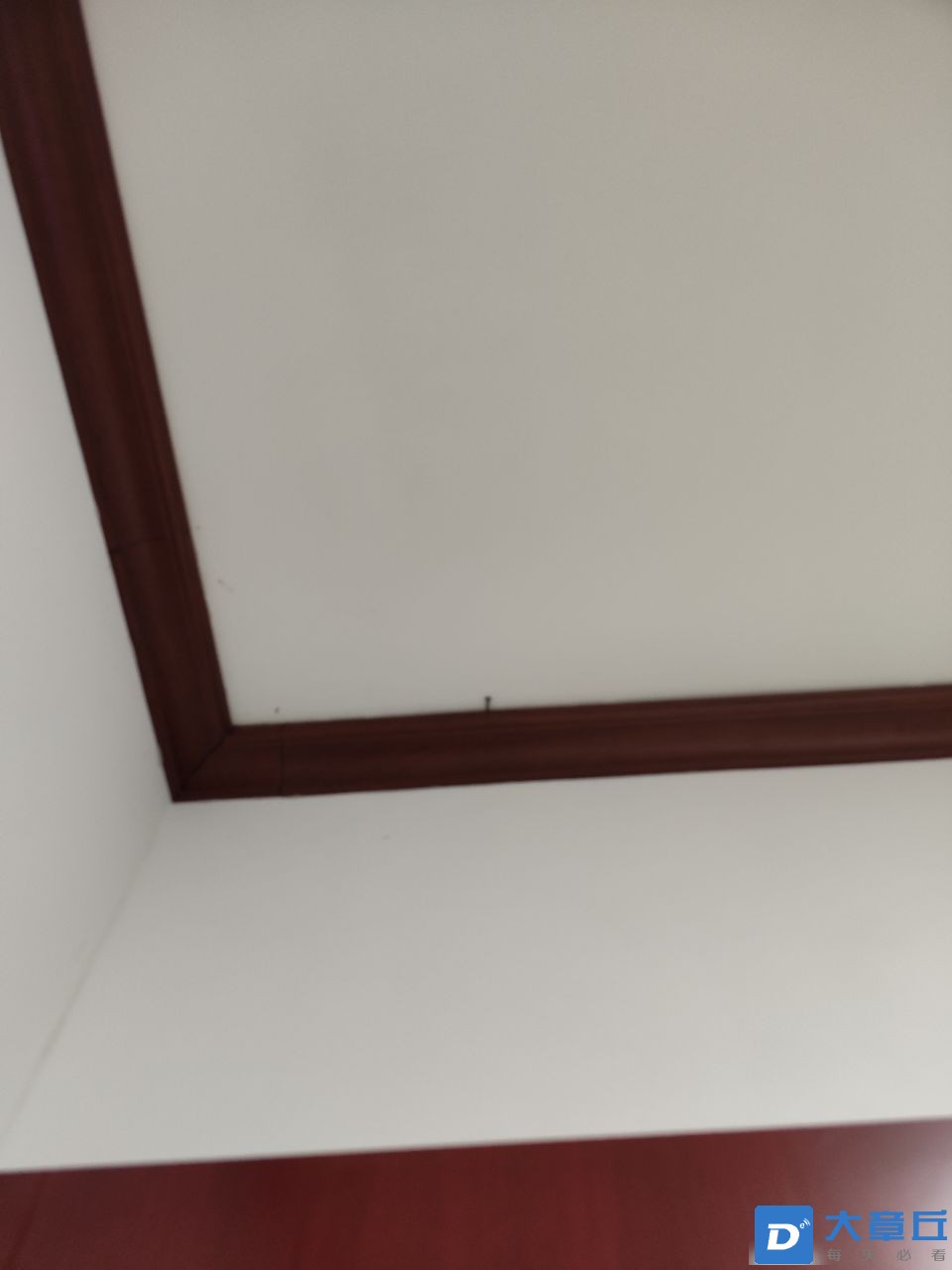 20230514112601front2_0_25237_FmXOL895JztC35KTtxb7gtyZTc_a.jpg