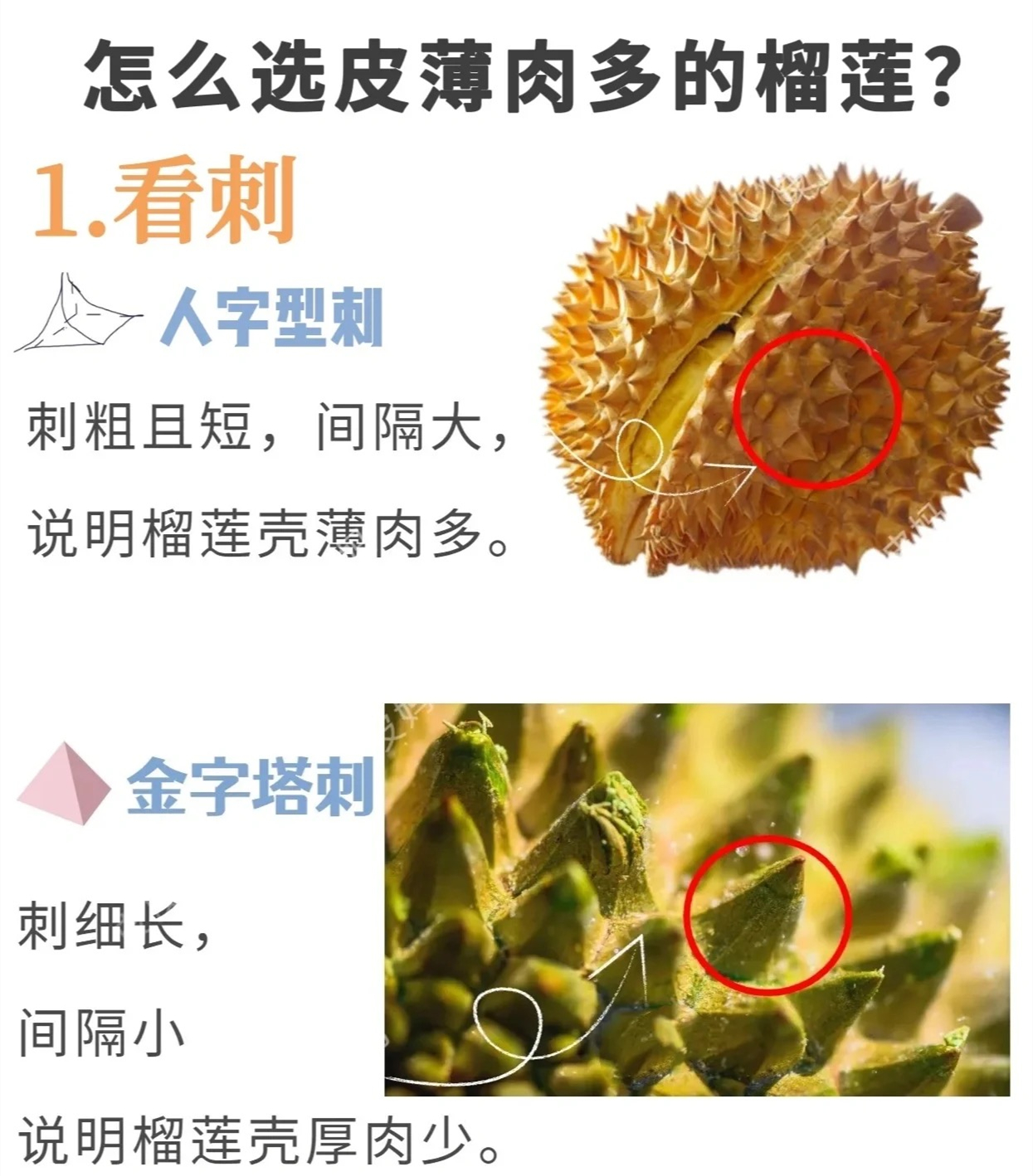 微信图片_20230515163531.jpg