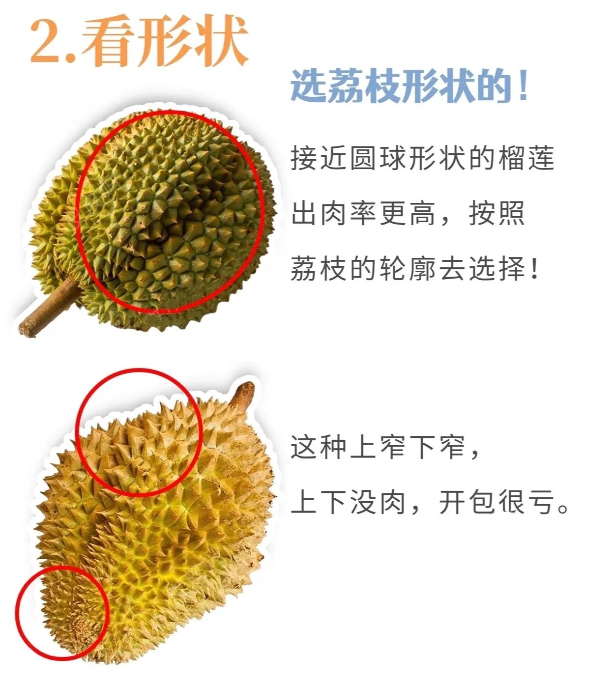 微信图片_20230515163701.jpg