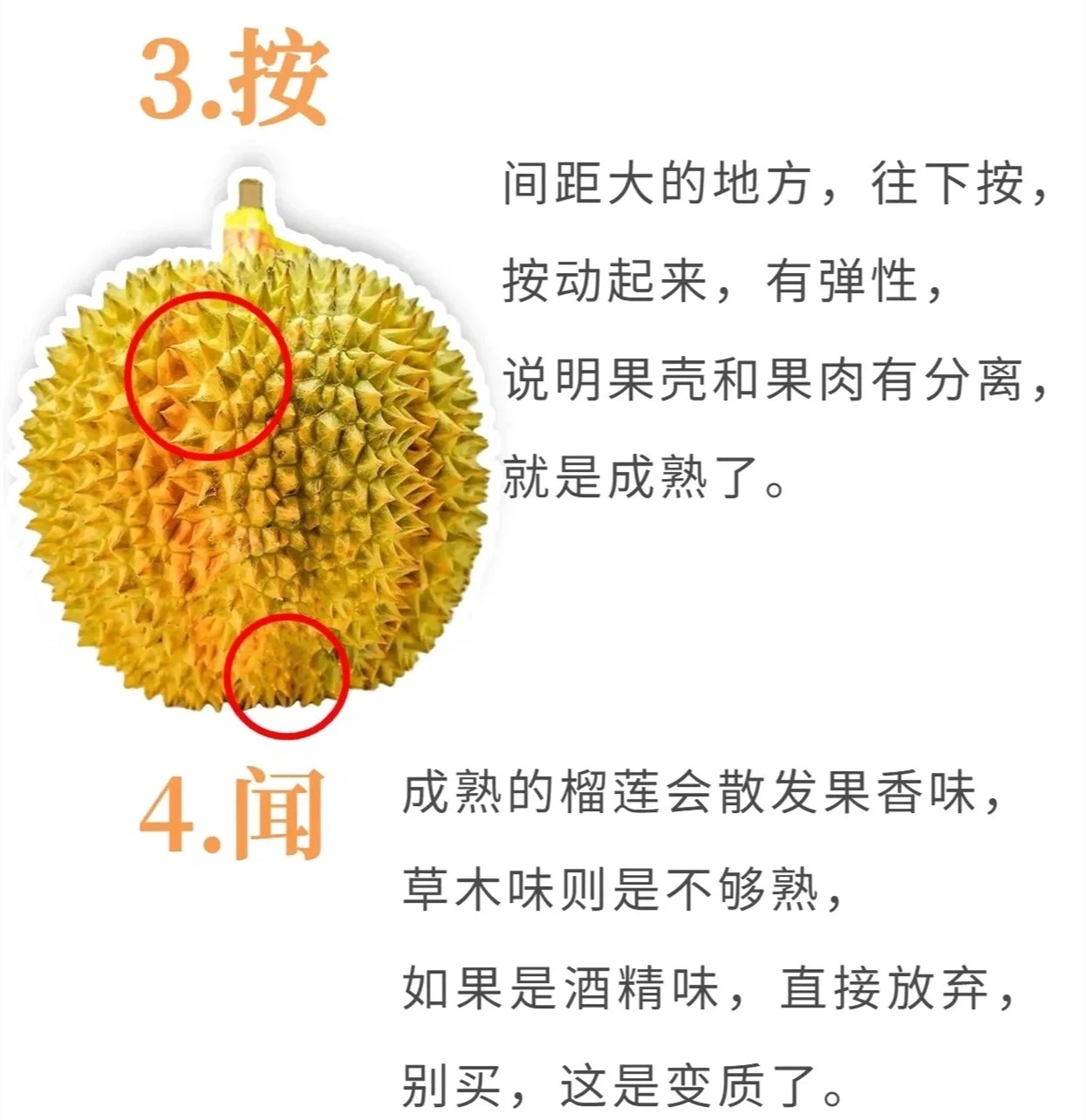 微信图片_20230515163823.jpg