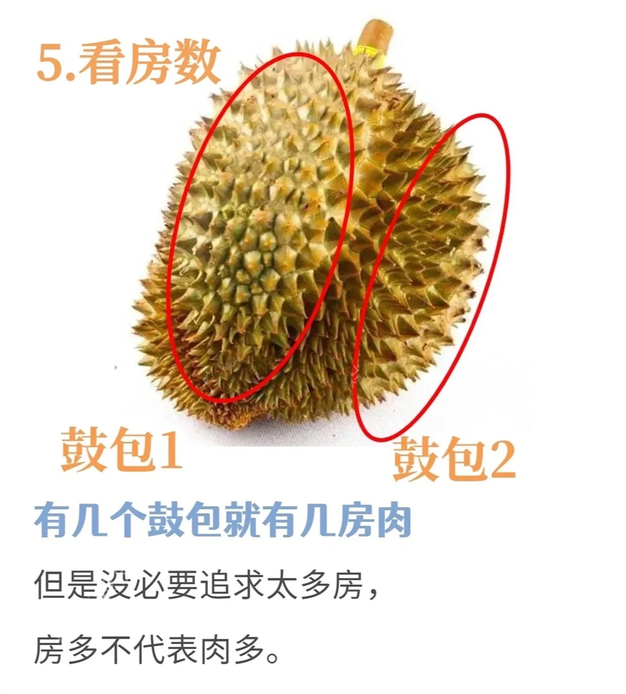 微信图片_20230515163827.jpg
