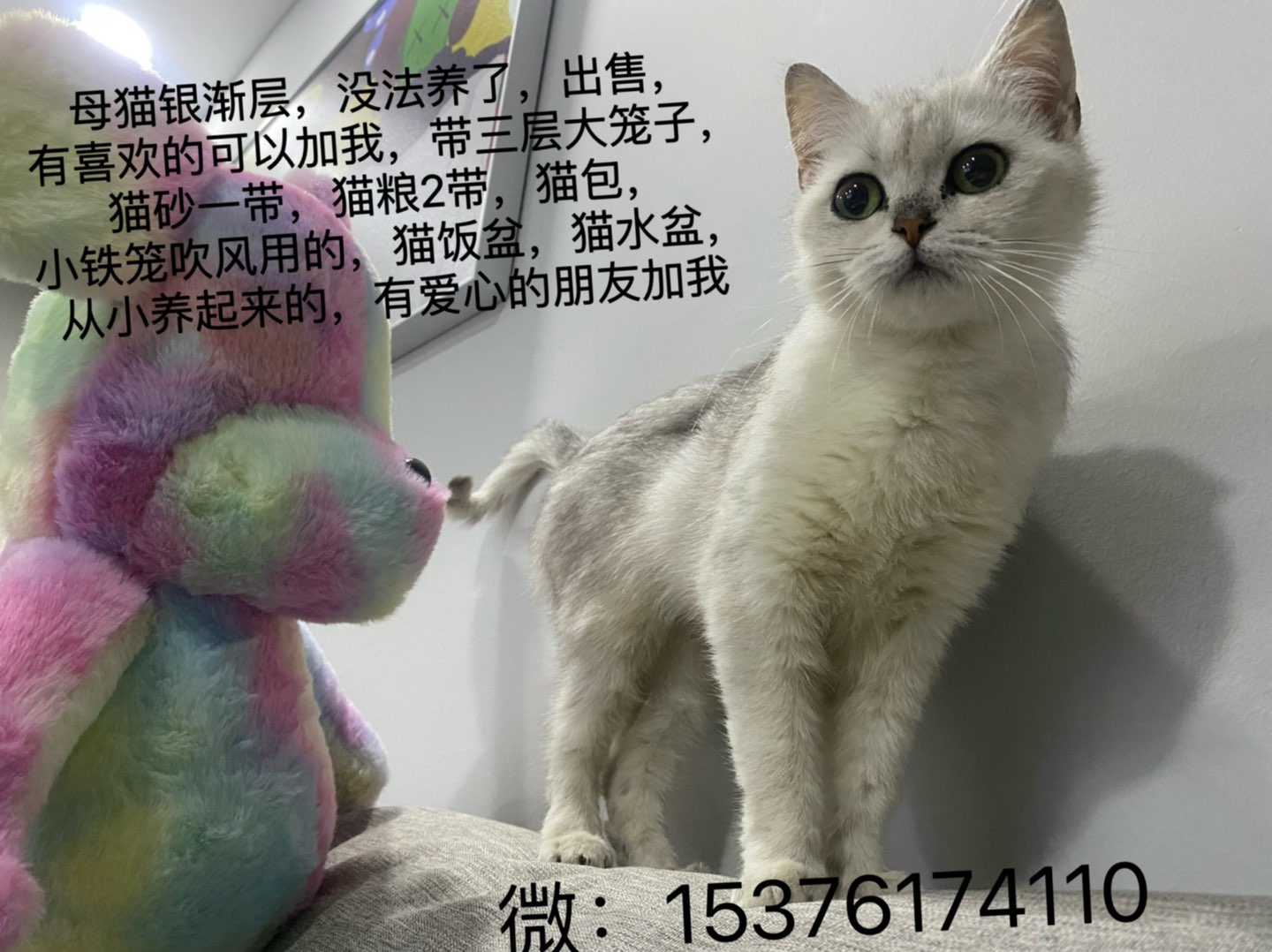 20230517075123front1_0_125118_FvOUuPJPRtcsfYRr-bKKc9dc3cKU.jpg