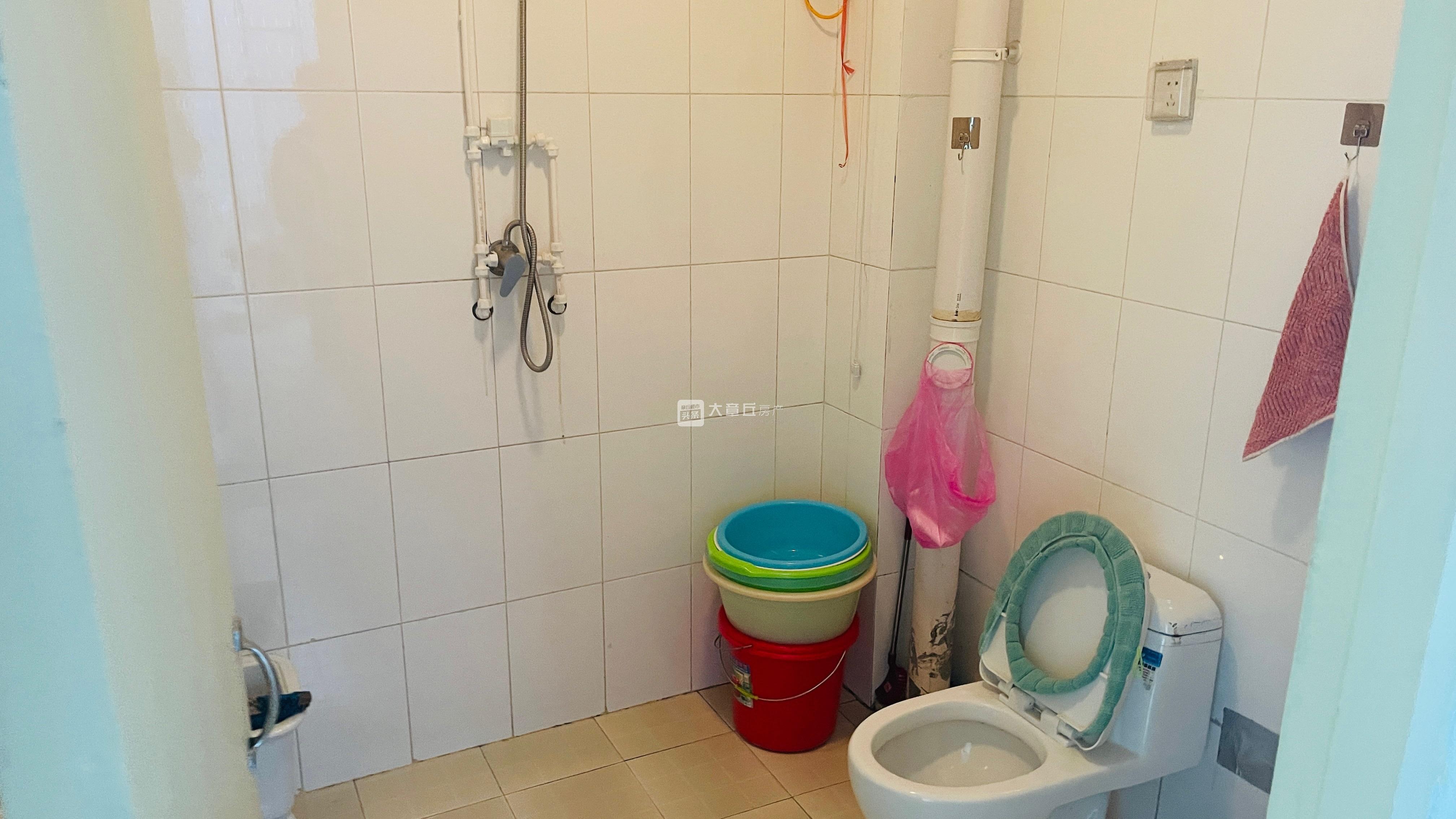 151104xt62t2jggc62xhds.jpeg