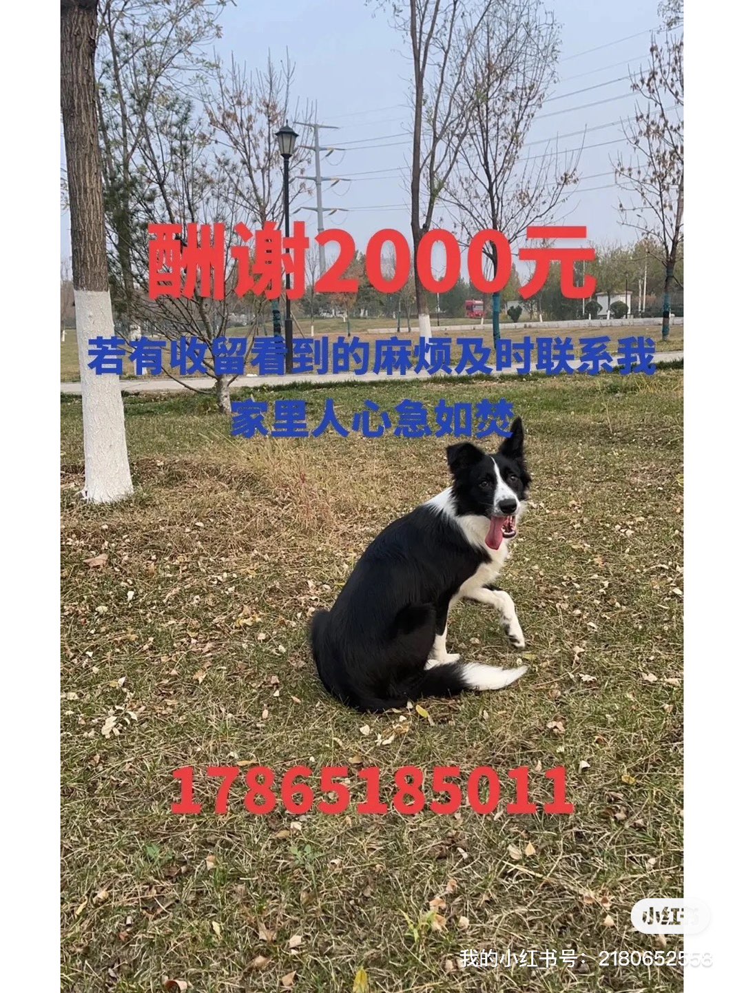 20230525162448front1_0_237767_FoD25Baif1CPOrKF0tyiEvzBrLC_.jpg