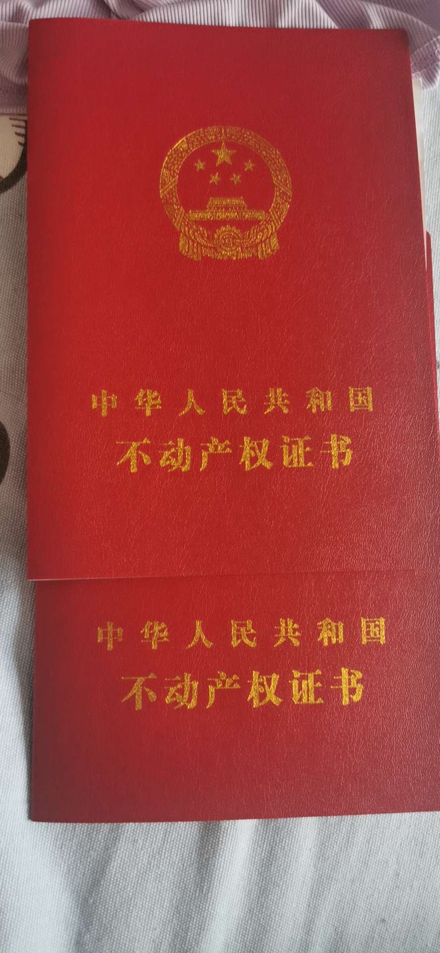 20230526163045front2_0_34295_FudCZDMuTtVXqOtId6HZuO0albrs.jpg
