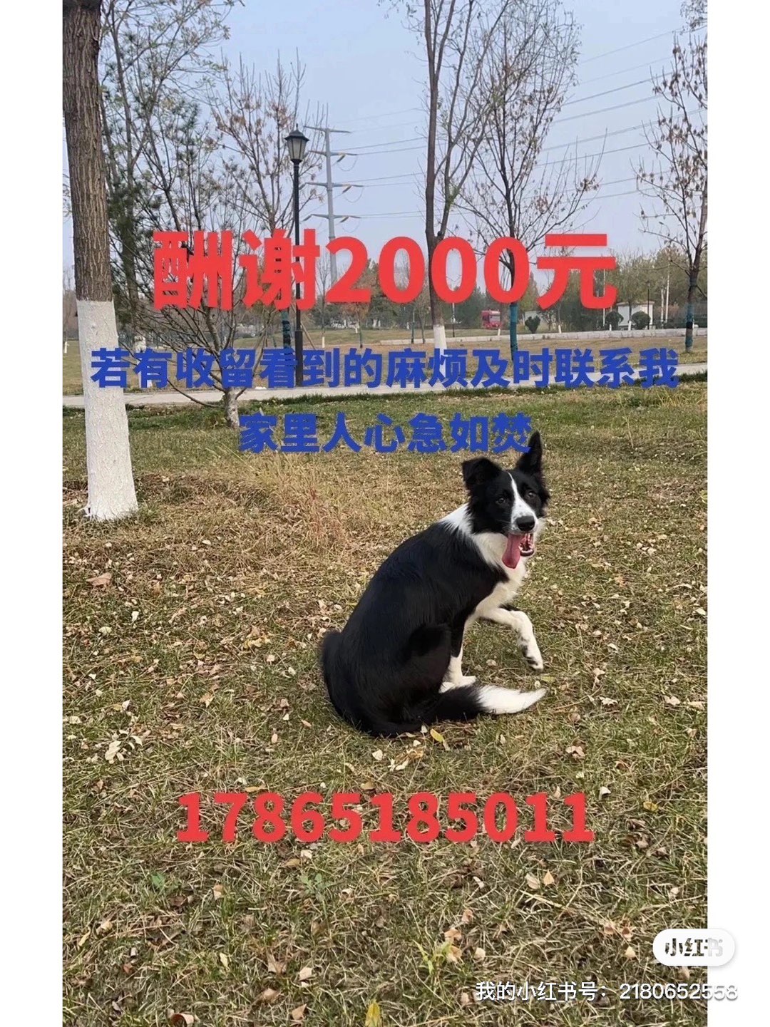 20230603191535front1_0_237767_FiRxN51tcpV3TZSOH-_M0DjNNSTB.jpg