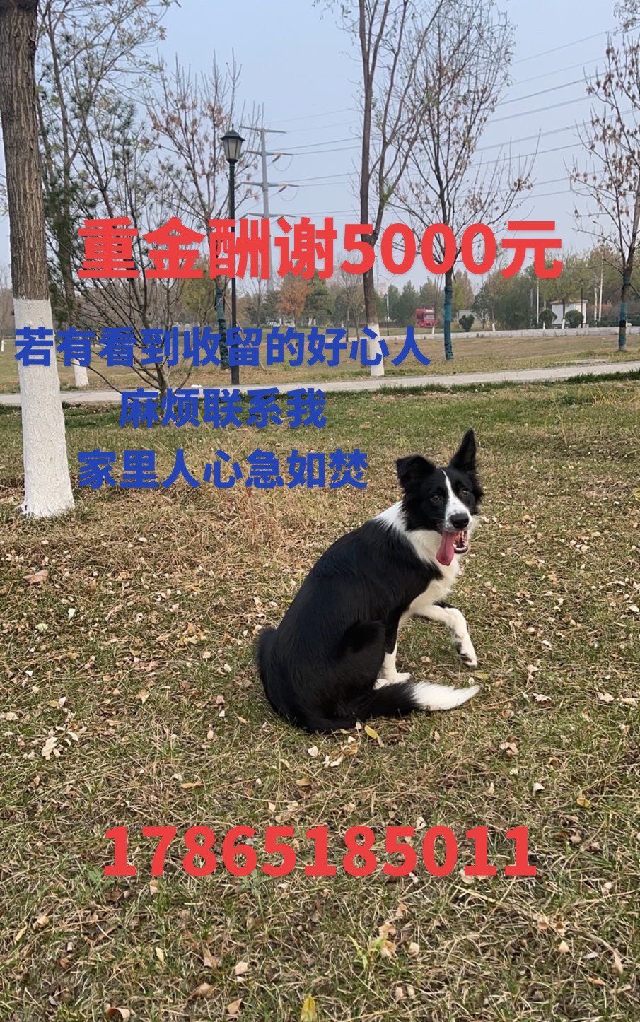 20230611184145front1_0_237767_Fqd3GlqoYjCKtKZhknR-G2FiOBhB.jpg