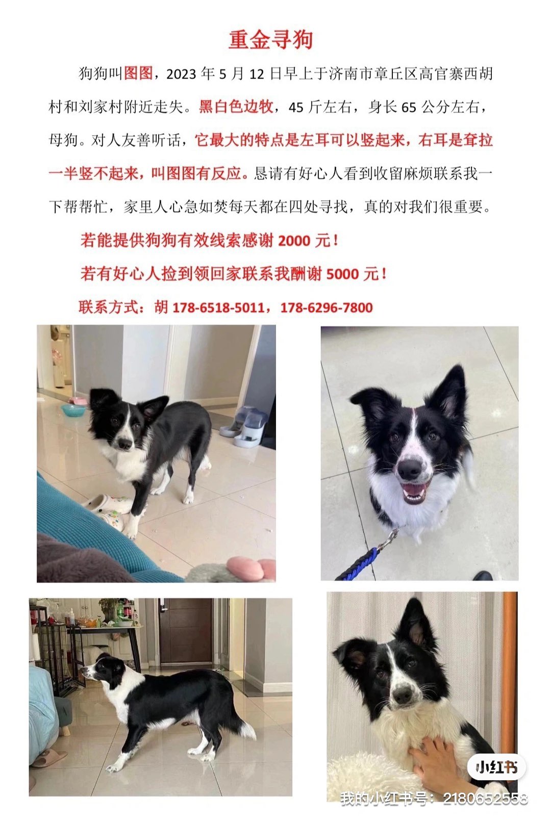 20230618162342front1_0_237767_FjgvS9FU_q8YPUPms52E21nSmqT8.jpg
