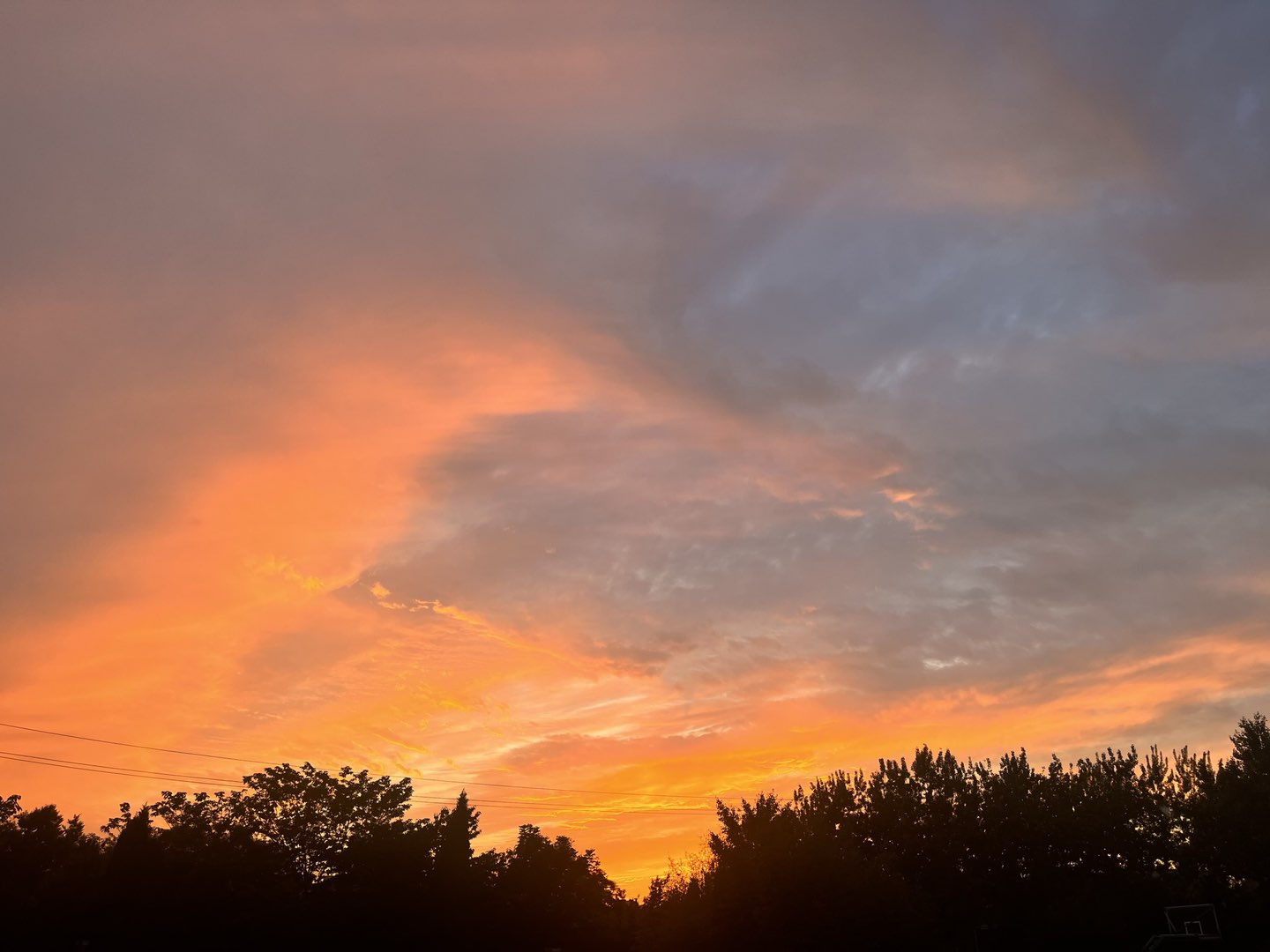 20230619094339front1_0_225136_FqSFt0_O0wxLwPRU8F067OJvZouq.jpg