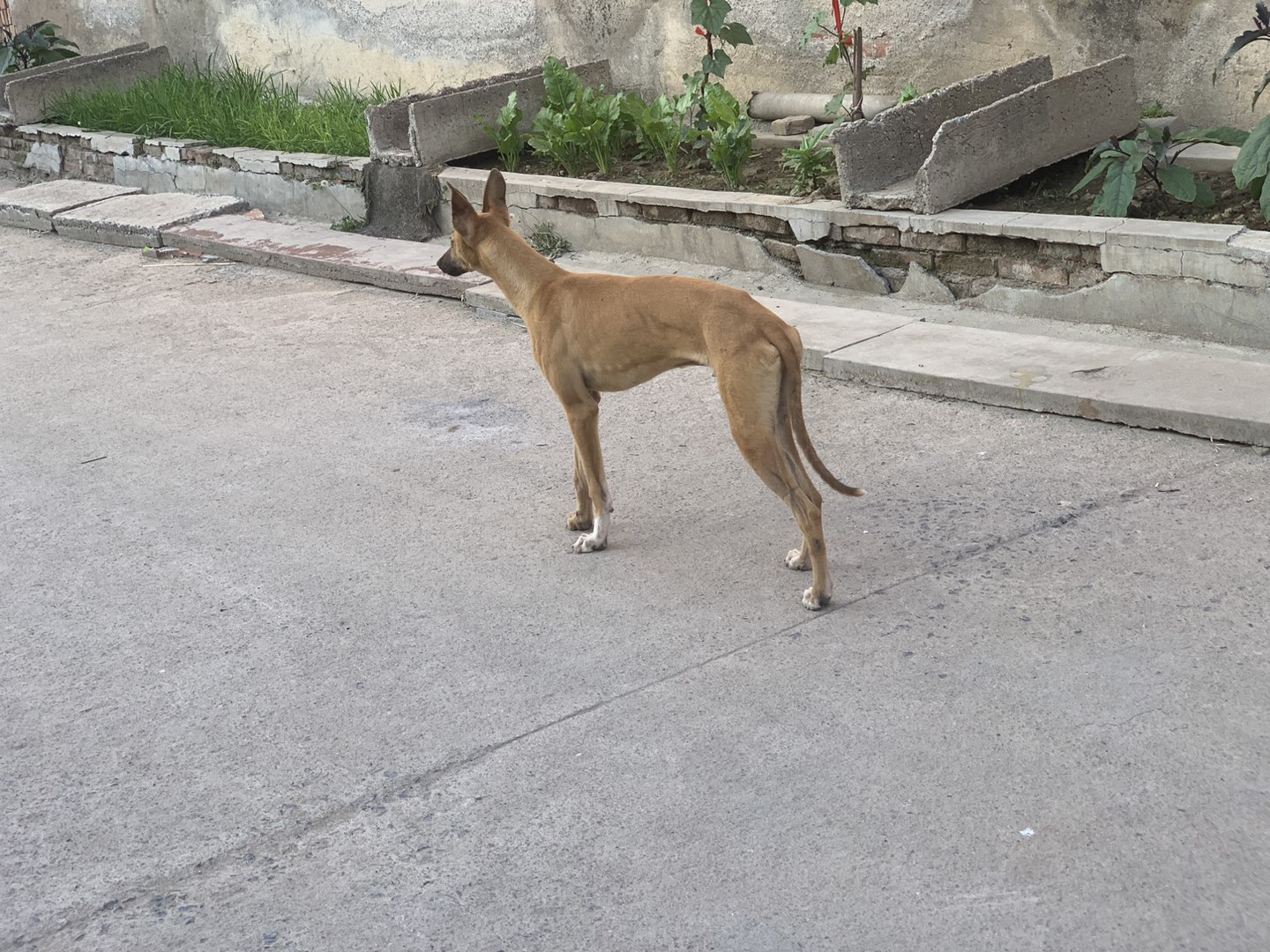 20230620220311front1_0_229654_Fr1Xn_fqP_WFpyf2f9sjaoLGMBR3.jpg