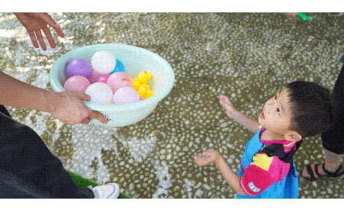 6.gif