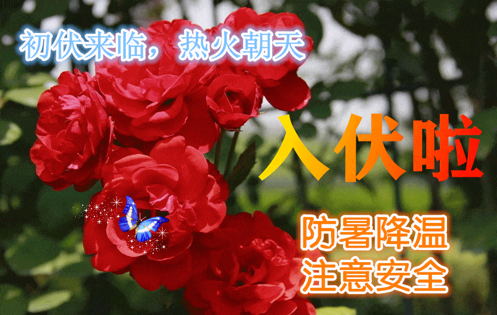 20230710220213front2_0_152840_FjCDpcggvsGWWxg8PRDNzv-D9z9E.gif