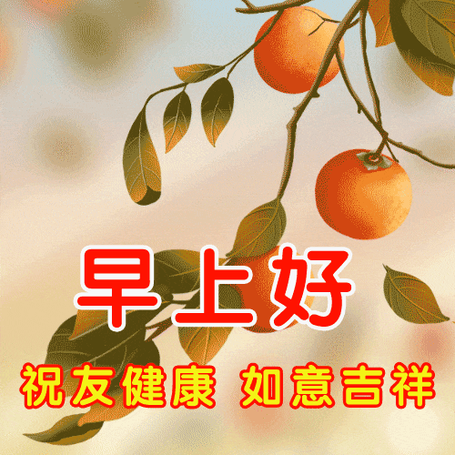 20230712080342front2_0_6551_Fn8fwjIz5JY-ulVvJb9fYUSRHJ-q.gif