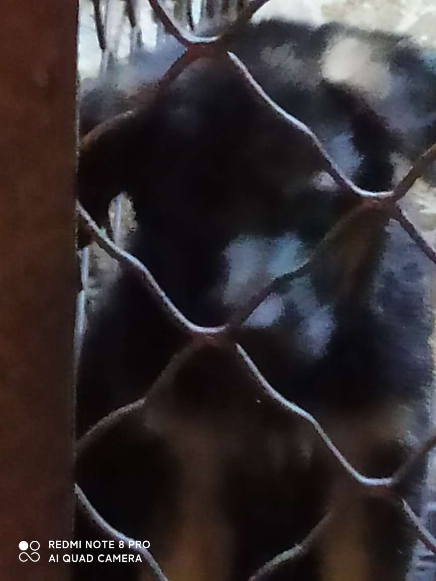 20230719130637front2_0_212572_FtHEFfR8Tt5s0sfPwM6AkVwKVH-B.jpg