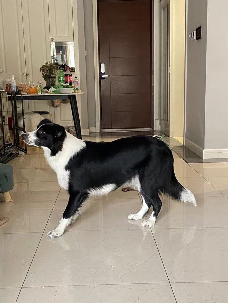 20230719140847front1_0_237767_Fr_-_zvd1m6m7MDlF3aqcptUjcWj.jpg