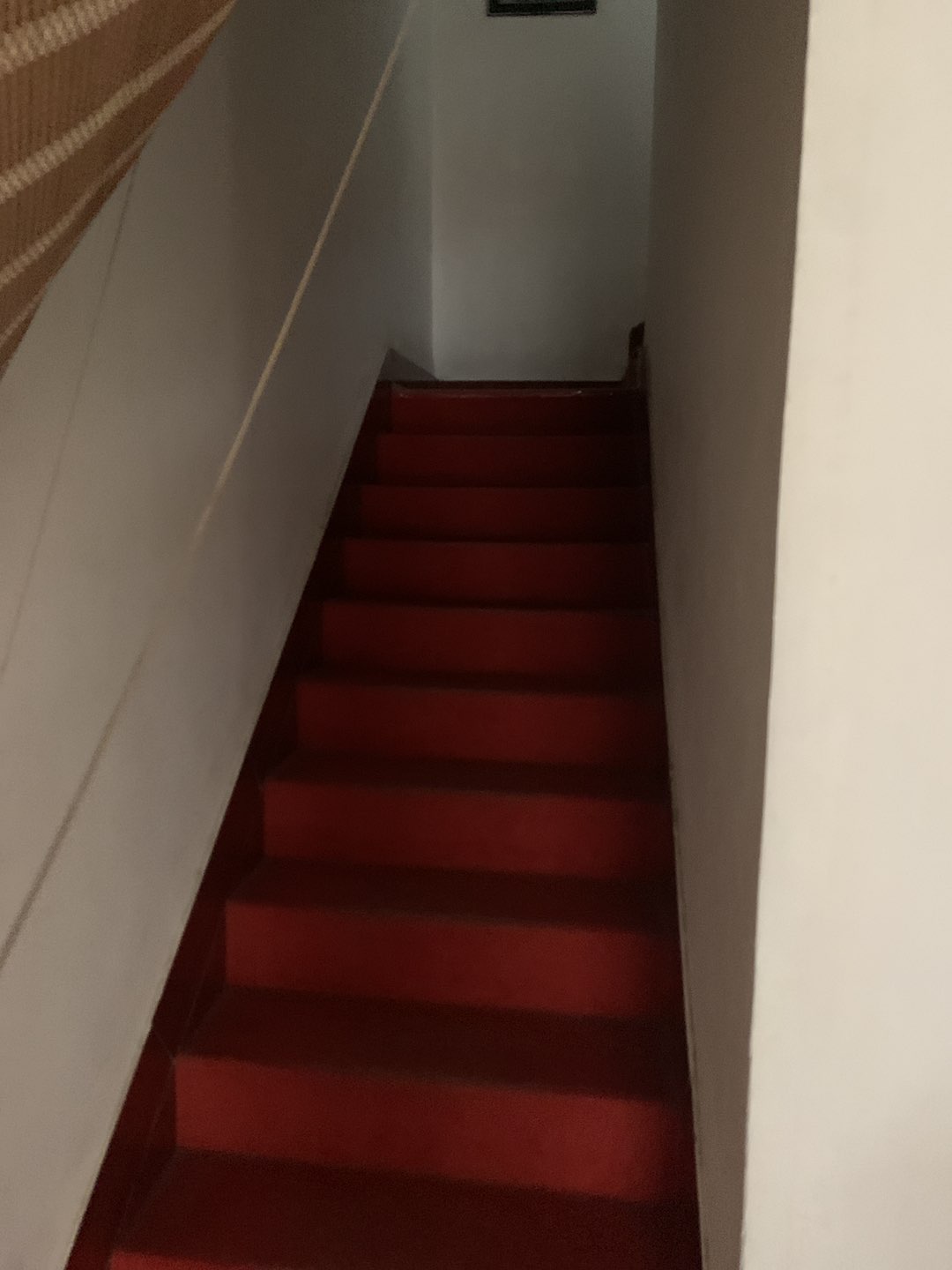 20230719142728front1_0_241216_Fq_yHe26dHaCyJWaUvDLGQfB_tm_.jpg