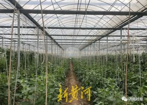 微信截图_20230720142923.png