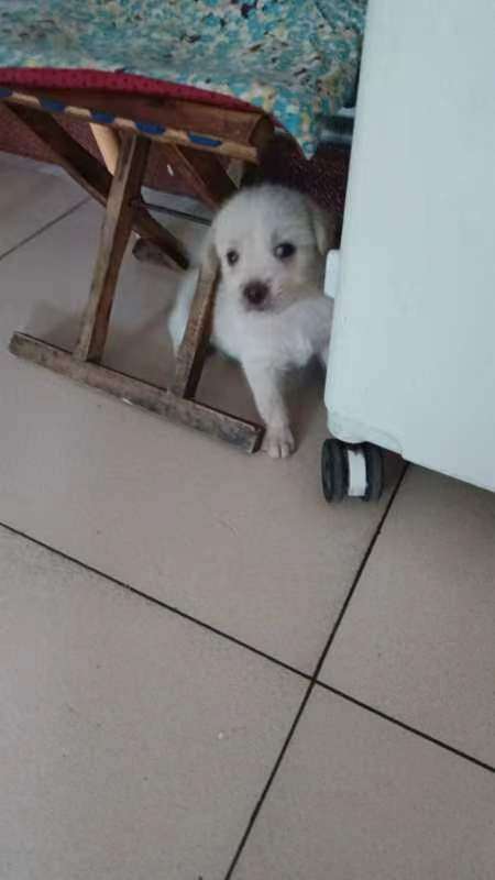 20230724091636front2_0_230077_FsC7ZDNteoAHDo1AR09ZRDdT6n72.jpg