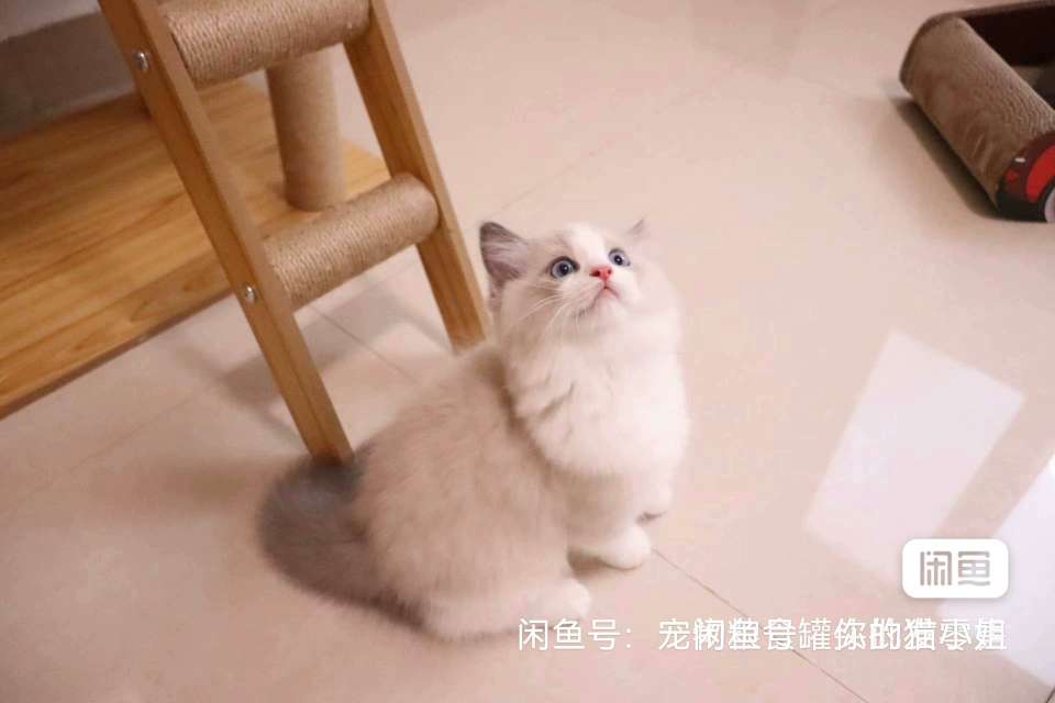 20230726103426front2_0_60310_Fvqc99YVy_RMyxGuvUpm8xqaBJEa.jpg