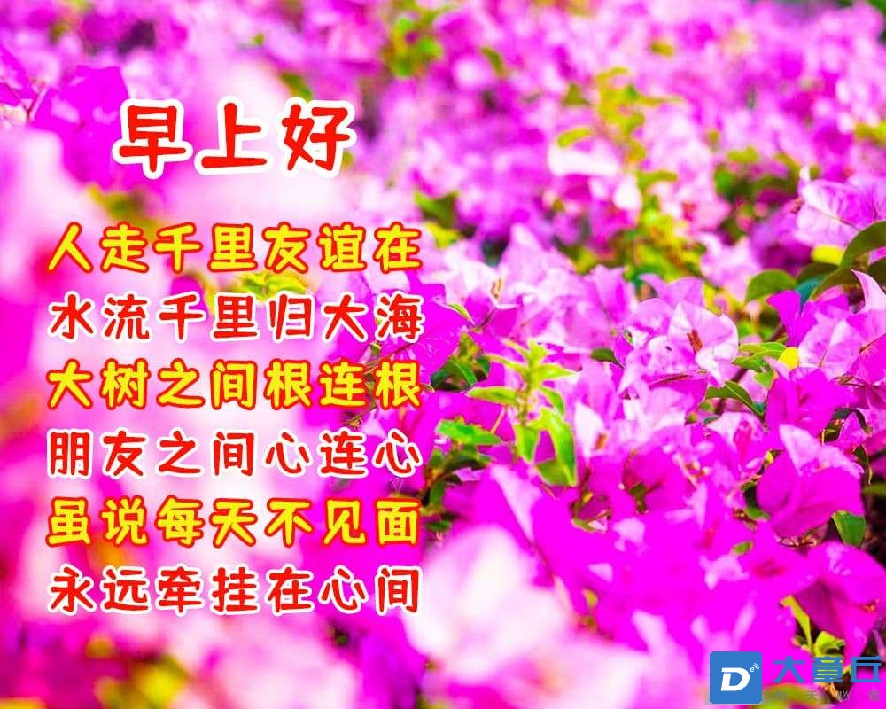 20230727080927front2_0_6551_Fn7PS_C1mDSoaZfINKq_Jw_MGdfv.jpg