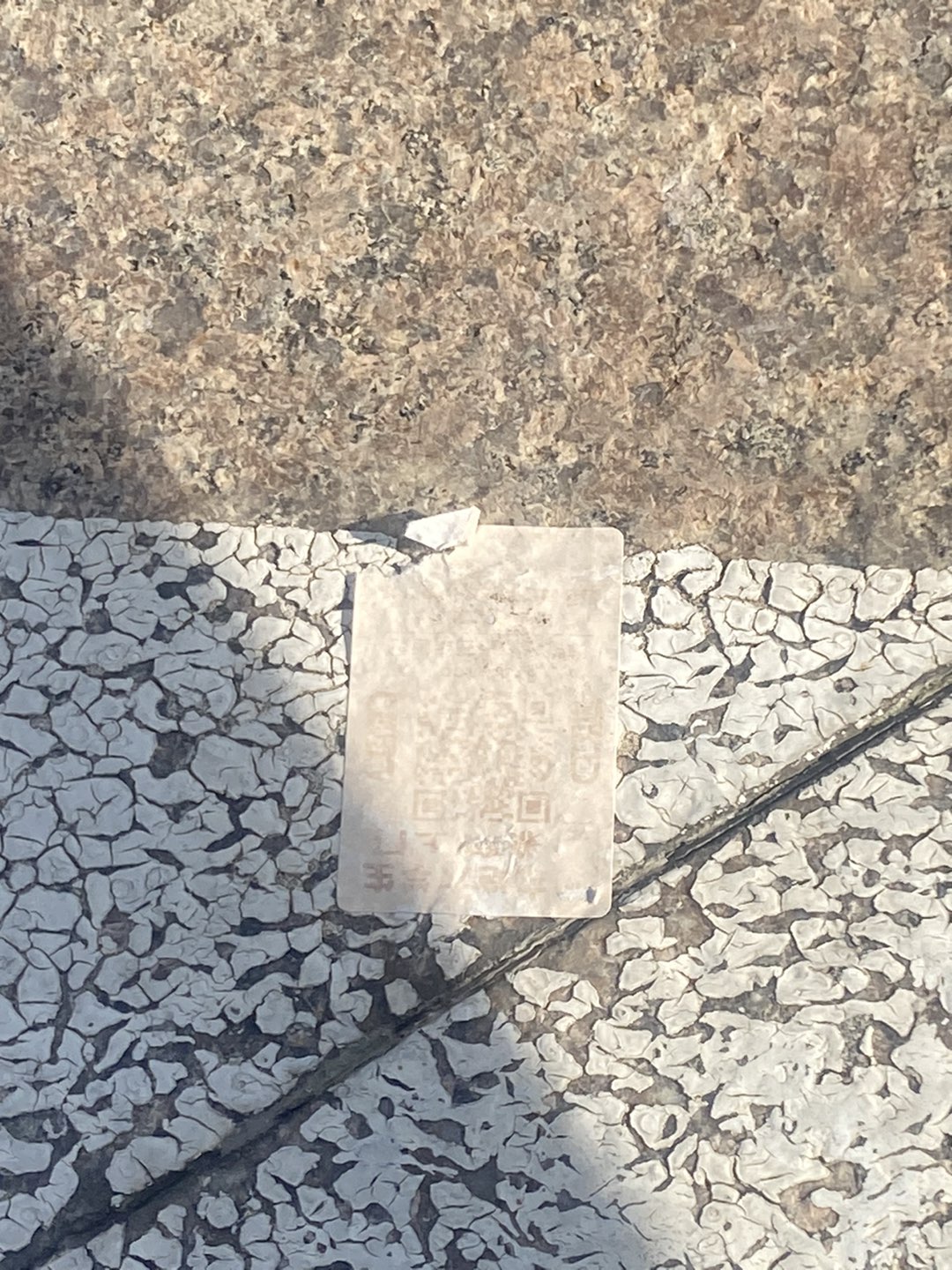 20230801165619front1_0_18493_FikxesXdtWLzvsuuqUVy8tBFjUJn.jpg