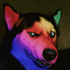 20230803163304front2_0_208547_Fh1XTBAKFSwkX5-B-OuEPJEk8BYx.gif