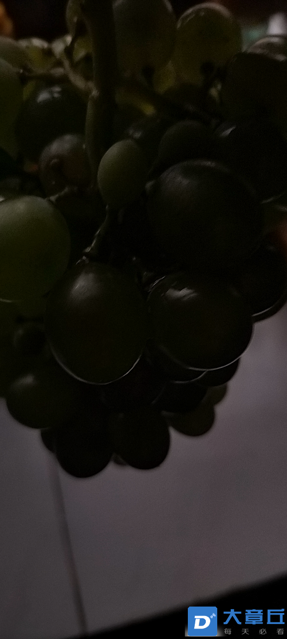 20230806071212front2_0_85081_Fok0GlQ720VnUdMc5lZZMPw6WqV3.png
