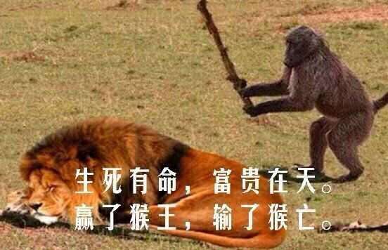 20230809145504front2_0_208547_Frh6QoUUCsDuqc57t_Vb1qoyQEKu.jpg