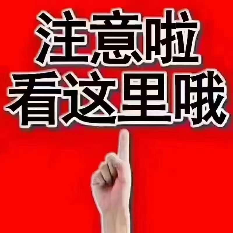 20230901172411front2_0_164175_Fk4_yNPWuY03yAo-FI9JiLK0mUzQ.jpg