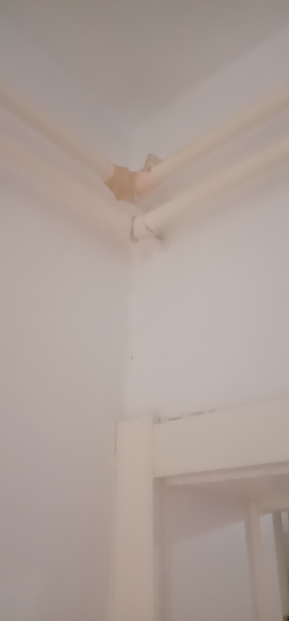 20230901192647front2_0_150334_FumVE2opTHvdjFtLFPn-BPWy2U2I.png