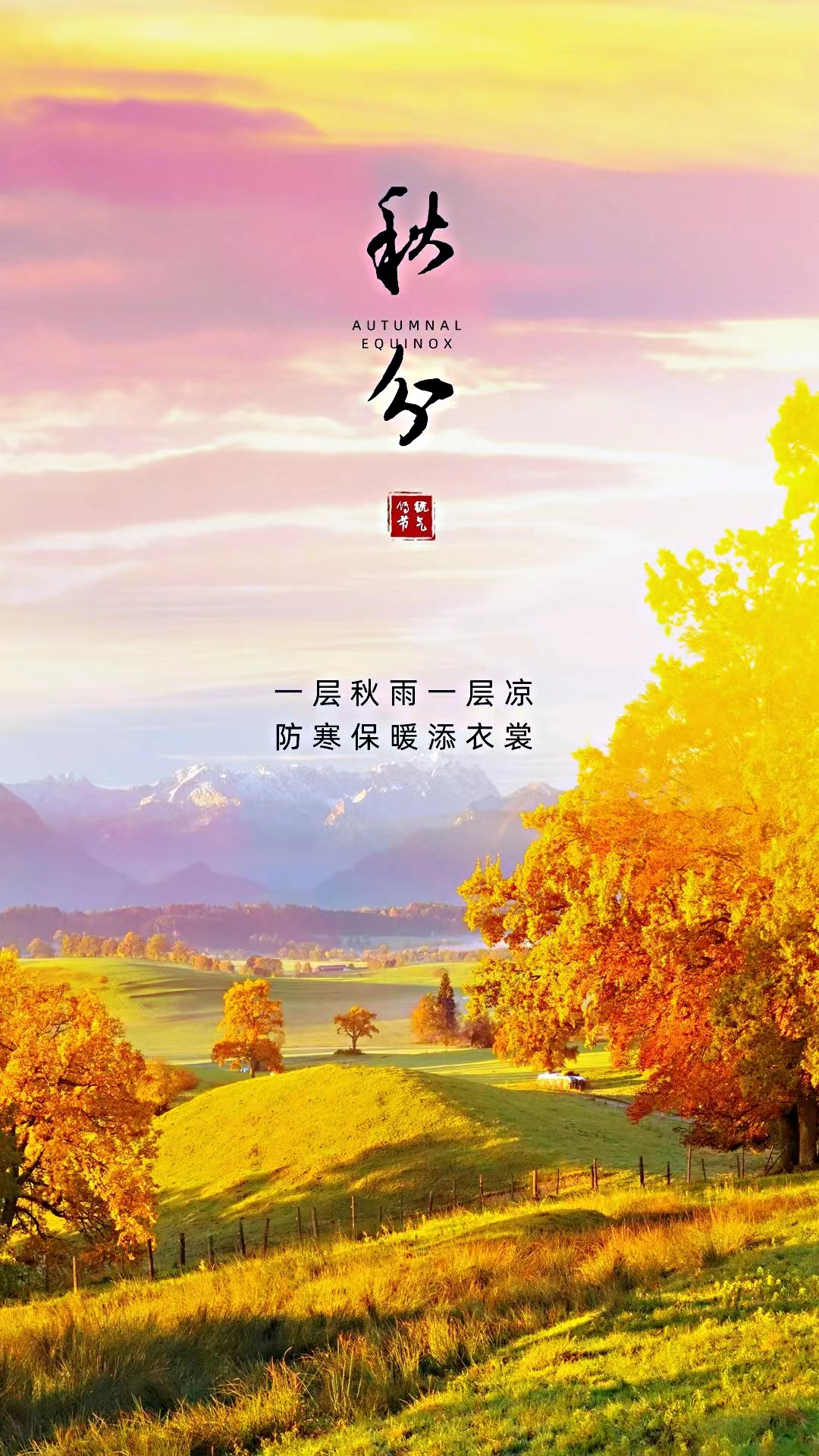 115907vbepzrruuw4bbuu8.png