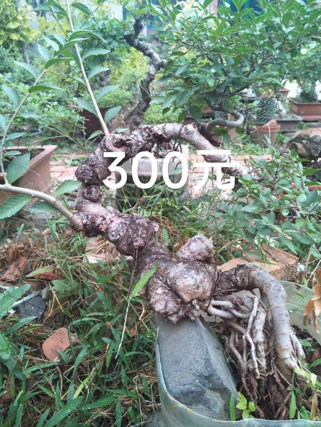 20231001105238front2_0_22845_FpBp3C1wjkVSZ5FU7jd4ZRBa4eHS.jpg