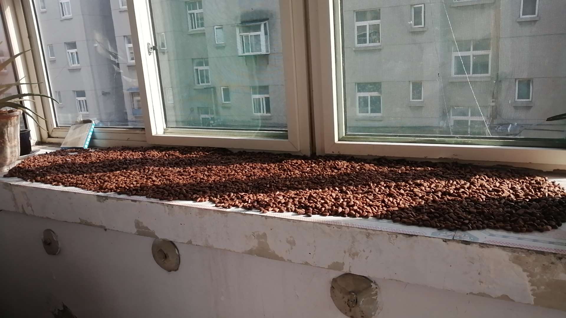 20231002193120front2_0_120629_Fo4QjvnptnyaNKEr6vDyte9RTBj2.jpg
