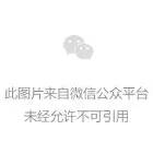 161933xhwxwti2iitx2jut.jpeg