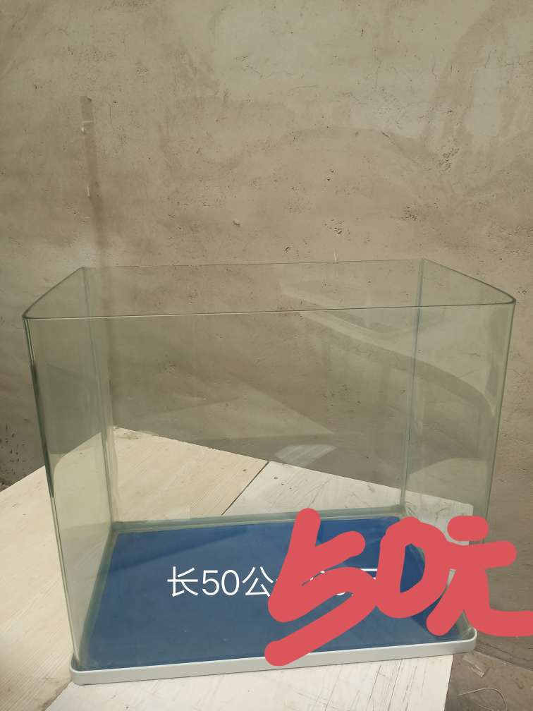 20231016123828front2_0_183873_Fk6qQkGN4gylcyyg723rUQkj6iFV.jpg